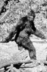 ЙЕТИ: снежная женщинана прогулке в 1967 году