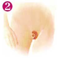 "СОНАТА": ласкает не слух, а взор