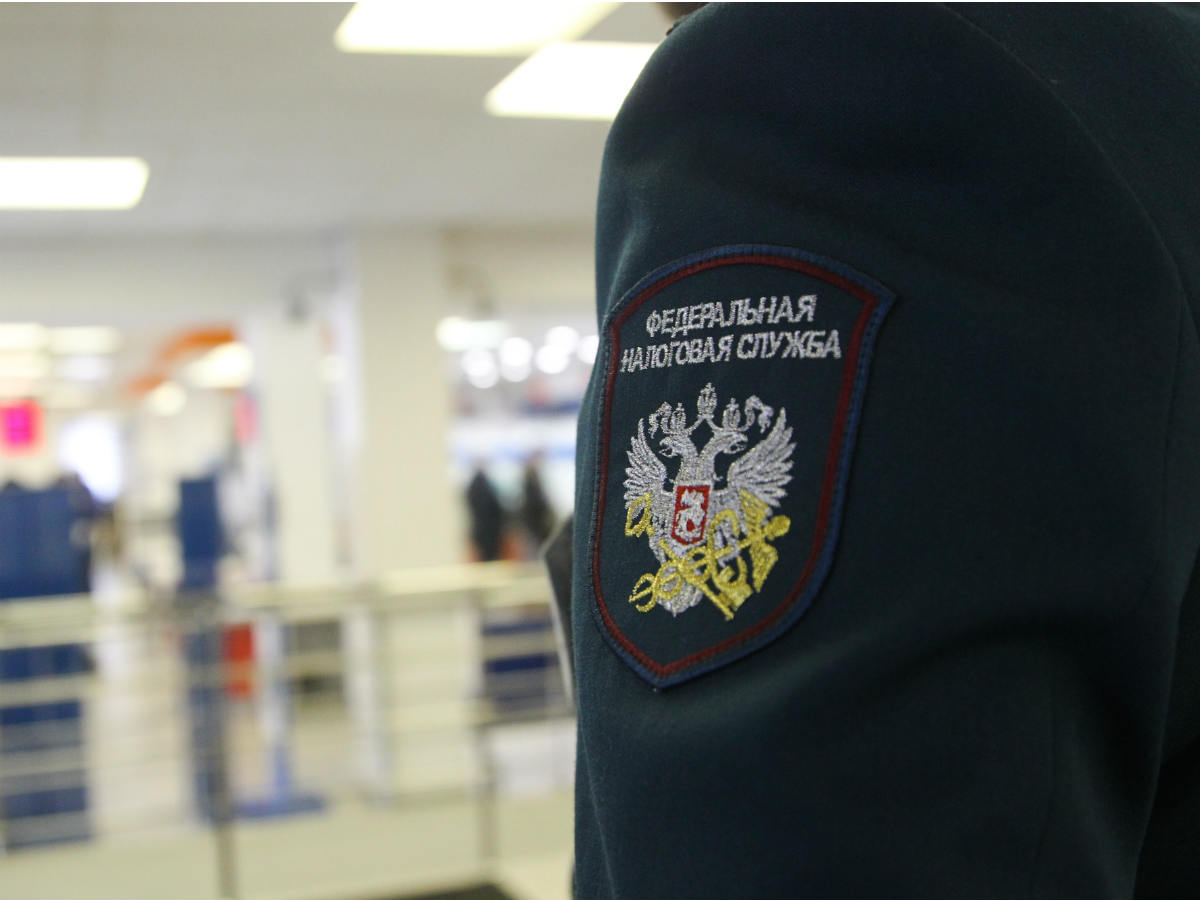 ФНС ФНС запустила сервис для выплат малому и среднему бизнесу