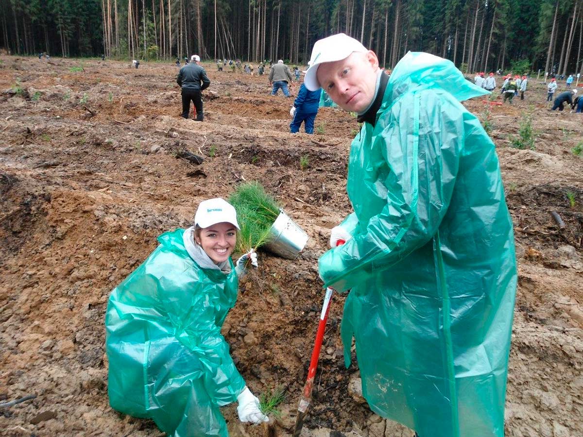 Кроношпан: социальная ответственность и опека над животными Кроношпан: социальная ответственность и опека над животными
