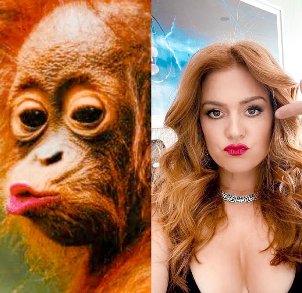 «Айла