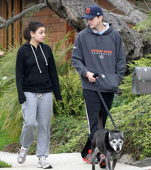 Эштон КАТЧЕР сейчас живет с Милой КУНИС. Пара завела собаку и подумывает о ребенке (фото All Over Press)