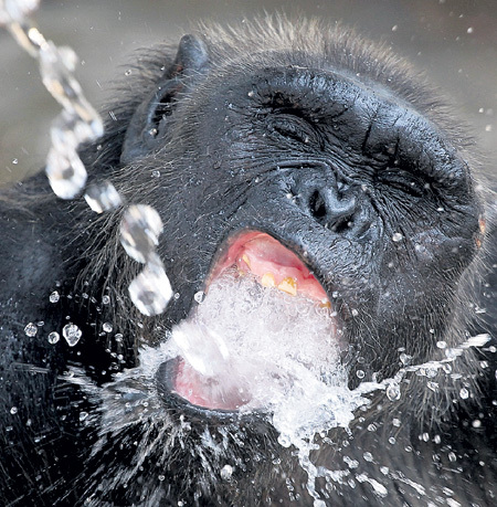 Ни одно живое существо на Земле не может обходиться без воды