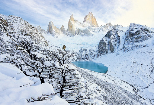 Снимок одинокой птицы на фото Флориса ван БРЕЙГЕЛЯ хорошо передаёт дикость Патагонии