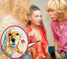 НАТАШИНЫ СИСЕЧКИ: вылитые уши спаниеля - такие же трогательные и милые