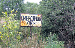 САМОПАЛЬНАЯ ТАБЛИЧКА: недалеко от коттеджа Сафиных