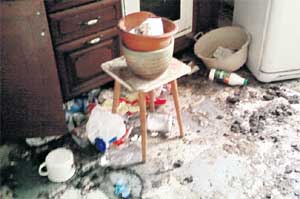 КВАРТИРА СУДЬИ: гламурно, как на помойке