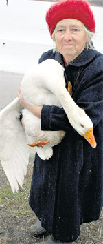 ЗОЯ ДМИТРИЕВНА: спасённого гуся с яблоками на стол ни за что не подаст