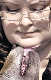 СЛАДКАЯ ПАРОЧКА: «Мой ласковый и нежный волк»